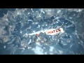 Miami WTTW 2014YouTube