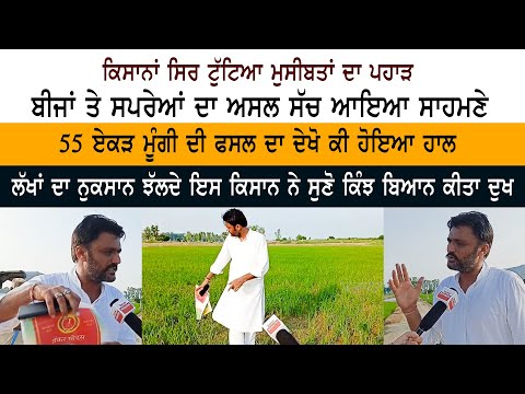 ਕਿਸਾਨਾਂ ਸਿਰ ਟੁੱਟਿਆ ਮੁਸੀਬਤਾਂ ਦਾ ਪਹਾੜ - ਬੀਜਾਂ ਤੇ ਸਪਰੇਆਂ ਦਾ ਅਸਲ ਸੱਚ ਆਇਆ ਸਾਹਮਣੇ