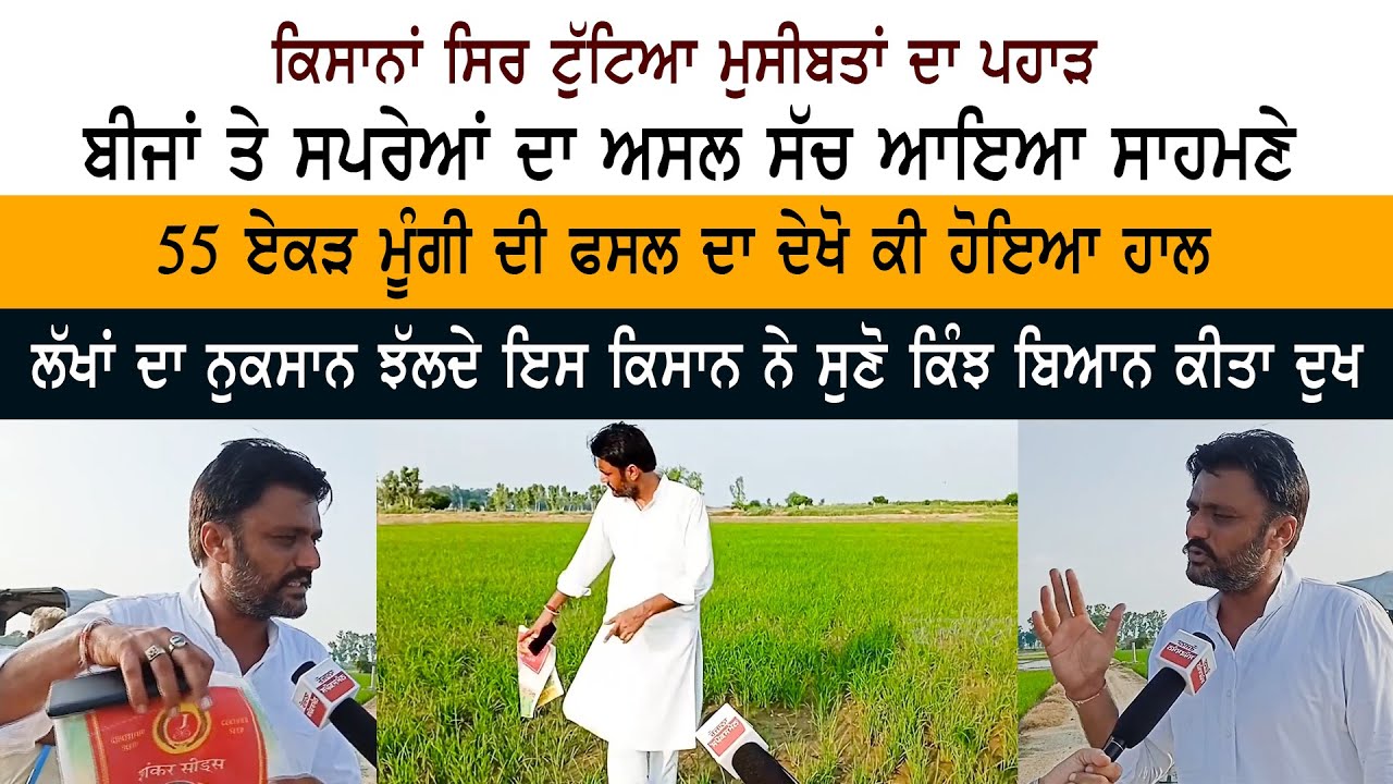 farmers farmers