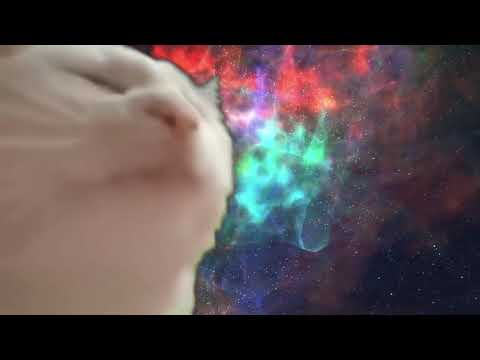 ImCatJam - 'CatJam Song (Slowed + Reverb)' M/V