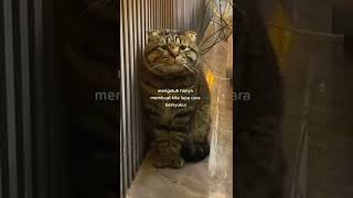 Download lagu Mentahan sw kata kata sad || Motivasi Hidup || 🥺😇#shorts mp3
