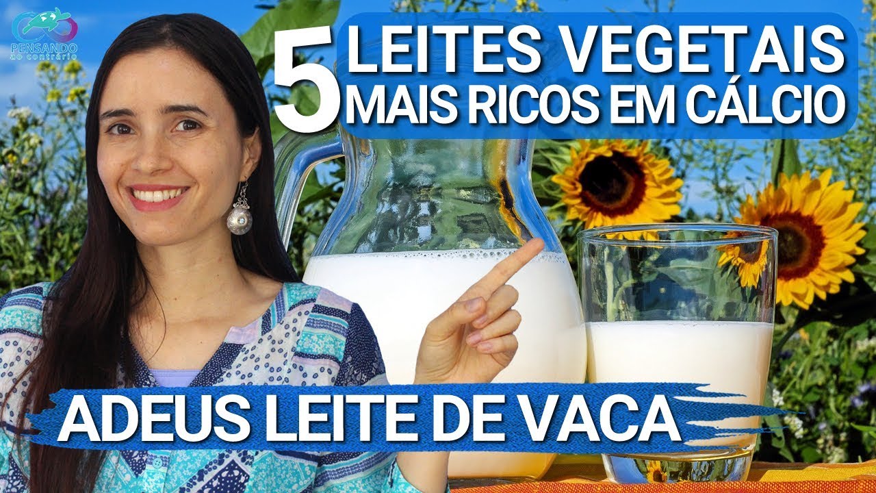 Os 5 LEITES vegetais MAIS RICOS EM CÁLCIO | Fáceis, SAUDÁVEIS e sustentáveis