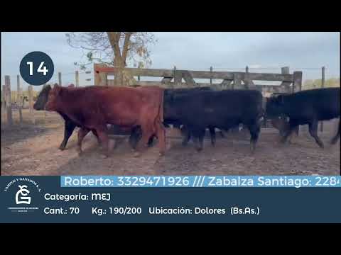 Lote MEJ - Dolores Bs As