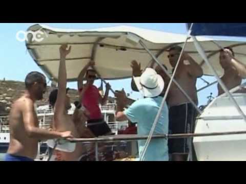 MOSKITO - Taz-ZOO jibbummjaw l-ikel minn Kemmuna