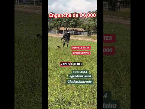 VENTA DE LOTES EN EL PINALITO  JALAPA  #realestateventas  #extranjeros #inviertebienesraices