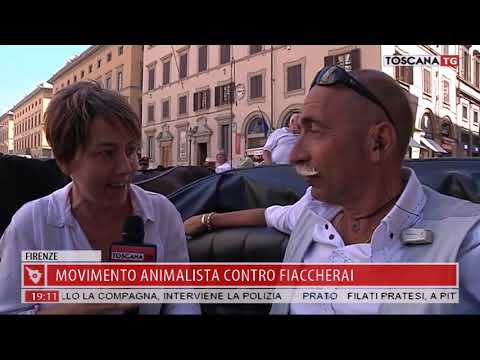 2018-06-23 TG REGIONALE ORE 19.00