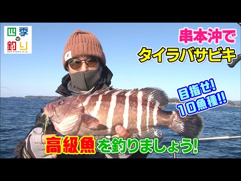 串本沖で鯛ラバサビキ　高級魚を釣りましょう！（四季の釣り/2022年1月7日放送）