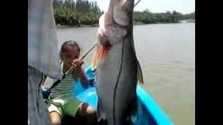 preview picture of video 'Atrapando un robalo en rio nautla'