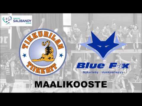 21.10.2017 Tiikerit - Blue Fox (4-3ja) Maalikooste (Divari)