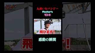 【切り抜き】大嫌いなバンジージャンプで感動の瞬間が…