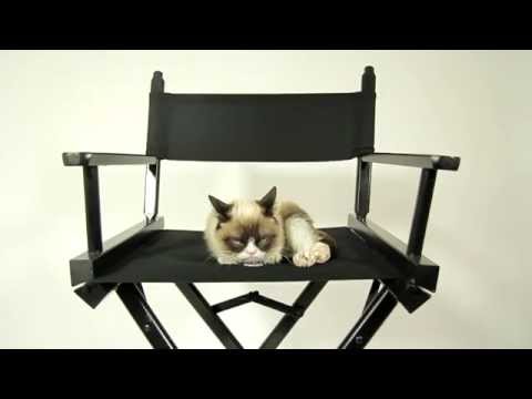 What Makes Grumpy Cat Happy?