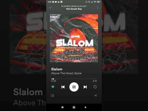 Above the Hood - Slalom