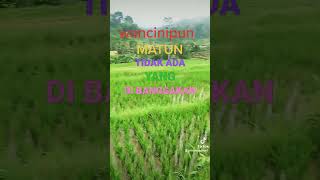 Download lagu 6 November 2022 mp3 Download lagu 6 November 2022 mp3