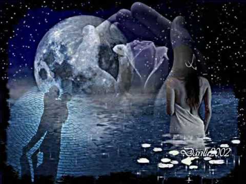 Sabrina Colasanti " In assenza di te "