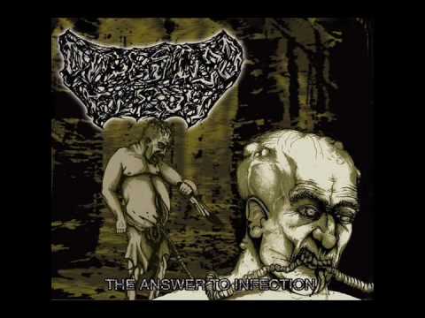 Digested Flesh Bucket of Afterbirth Vocal Cover