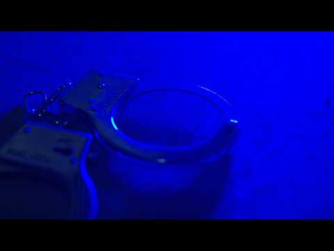 БИТКОИНЫ ЗА НАРКОТИКИ | Новости Камчатки | Масс Медиа