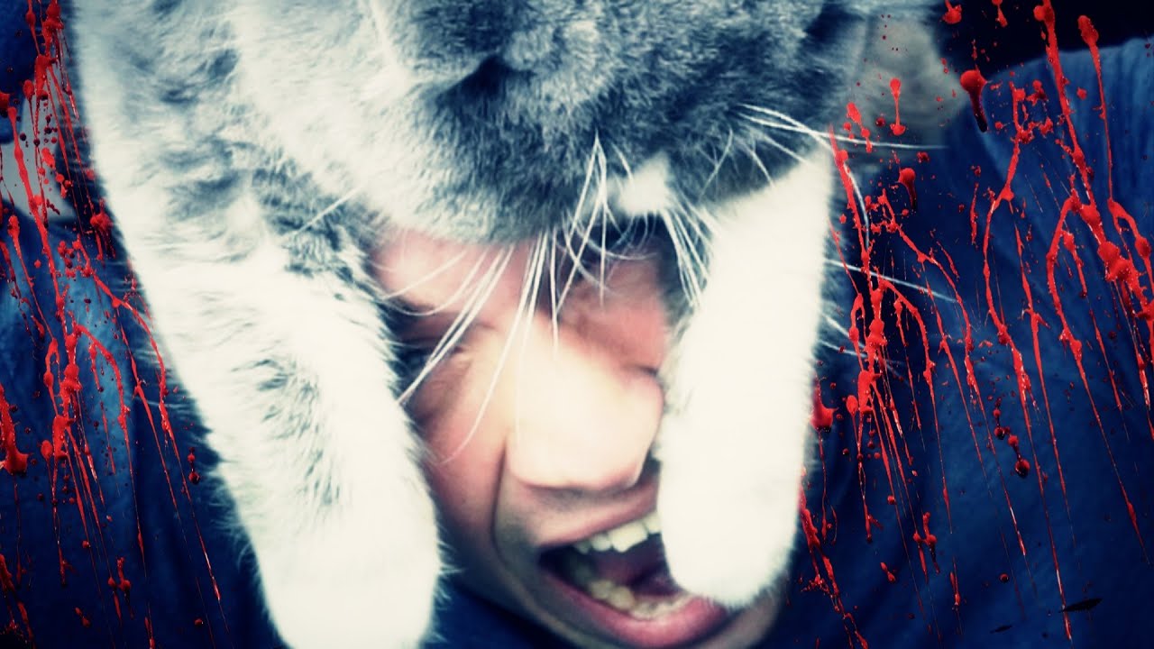 CHASSEUR NUL VS ANIMAUX ! (Far Cry Primal) thumbnail