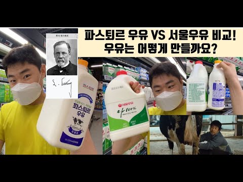 , title : '우유는 어떻게 만들어질까요? 파스퇴르VS서울우유 비교! 축산식품생물공학과 출신 남편의 우유소개와 우유비교 영상'