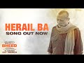 Herail Ba Video Bheed Rajkummar Rao Anubhav Sinha Omprakash Yadav Anurag Saikia Dr Sagar
