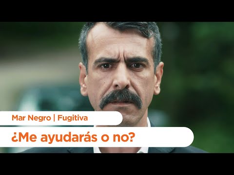 Una oferta para Necip - Mar Negro | Fugitiva