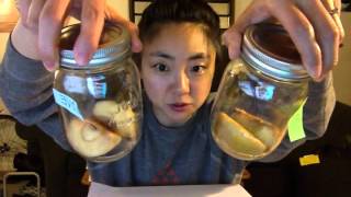 Apple Halves 3. Love and Hate - The Apple Experiment