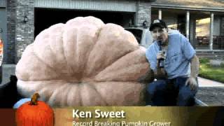 preview picture of video 'Sweet's Giant Pumpkins: Fall 2010'