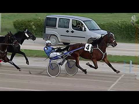 Aversa trotto 14 Novembre 2020 - 3° Corsa