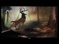 Bambi 1997 VHS Man What It S The Forest Mother Bambi Bambi Mother VHS TV