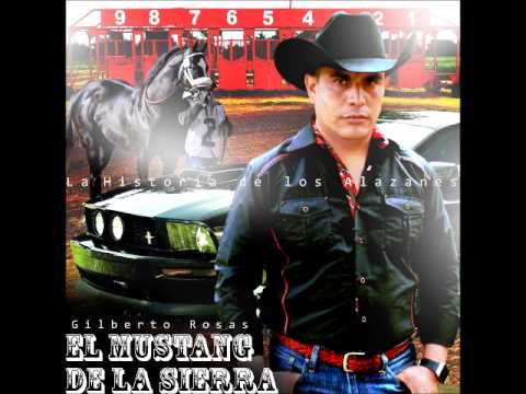 "La Reina" El Mustang De La Sierra