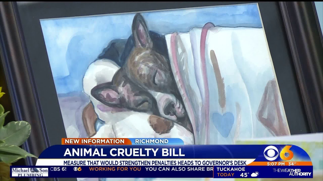 'Tommie's Law' would make animal cruelty a felony in Virginia