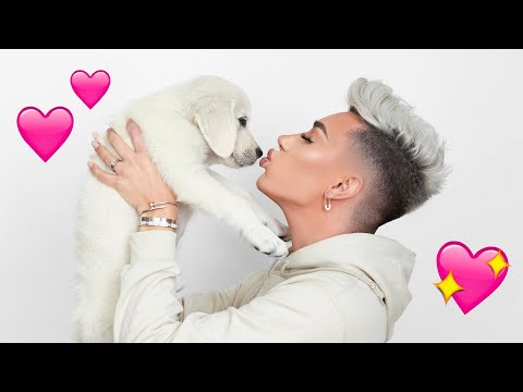 Adopting A Puppy!! 🐶 Video