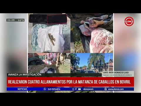 Realizaron 4 allanamientos por la matanza de caballos en Bovril