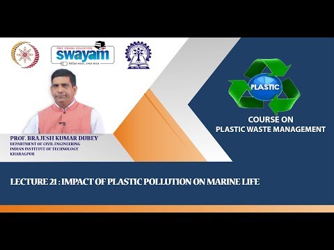 Lecture 21 : Impact of Plastic Pollution on Marine Life Video Lecture ...