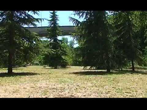 ONDA TG 18.03.2014 - PARCO FLUVIALE A SULMONA: LAVORI GRADINATA