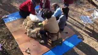 video 1618051139