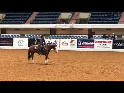 Tonilynn Cline and Spooknic 1k preliminaries  NRCHA World Show Cow Work