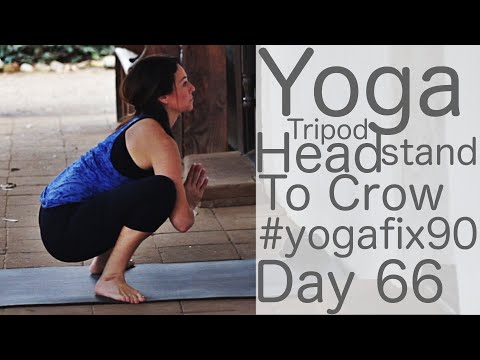 30 Minute Glowing Yoga Body Workout (Vinyasa Headstand to Crow) Day 66 Yoga Fix 90