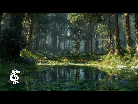 Calm Forest | Fantasy Ambience for Studying, Relaxing, Meditation