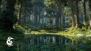 Calm Forest | Fantasy Ambience for Studying, Relaxing, Meditation