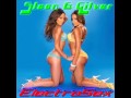 Sleen & Gilver - ElectroSex 