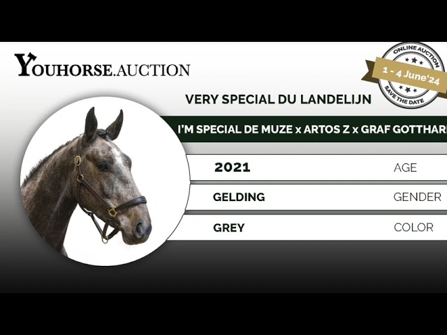 Very Special du Landelijn in handling