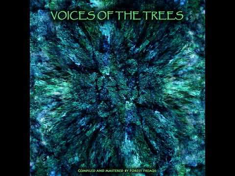 05 Distorted Goblin - Psychodrama