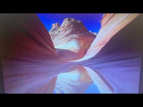 "Animal Age: Dawn of the Creatures" Part 18 - On Alex's Trail/Wally Arrives