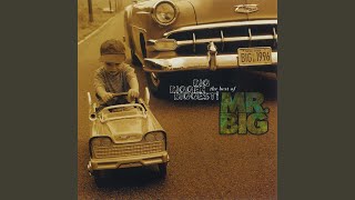 Download lagu Green-Tinted Sixties Mind mp3