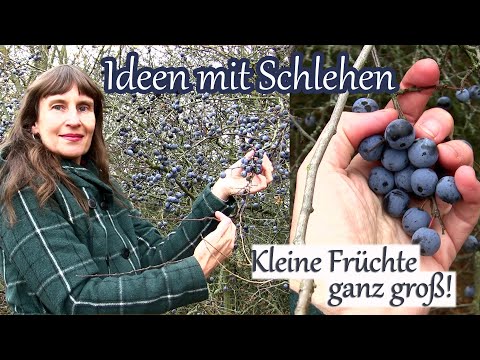 Ideen mit Schlehen | Kleine Früchte ganz groß