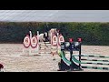 Cavalla Cavallo da Sport Irlandese In vendita 2018 Palomino ,  Tullabeg Fusion