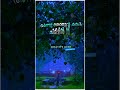 Paathira Pullunarnnu Malayalam WhatsApp Status Video