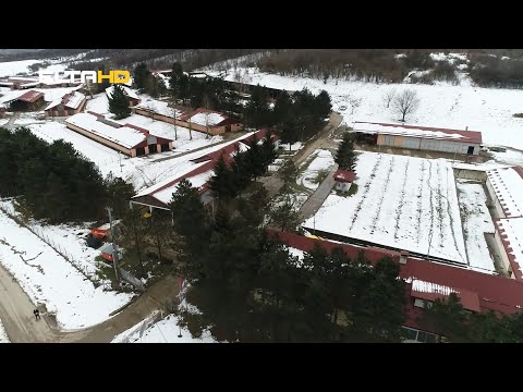 BL HRONIKA 02 02 21 - REC MANJACA