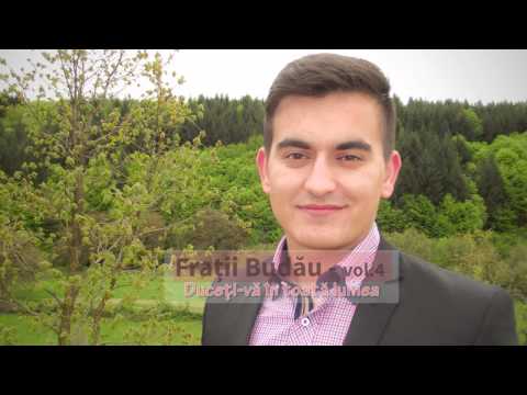 Fratii Budau vol.4 - Duceti-va in toata lumea