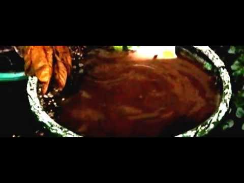 Super Slow-mo drop in the bucket